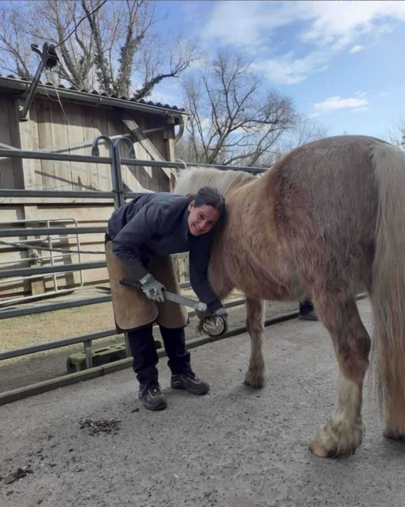 Danielle Bono bei der Hufbearbeitung eines Haflingers